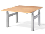 duo standing desk
