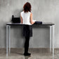 Aspa Executive Designer Standing Desk (with Bluetooth Control)