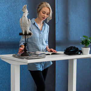 Mini Standing Desk Bundle