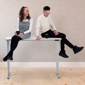 heavy duty sit stand desk