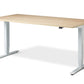 Stockholm Extra Heavy Duty Sit Stand Desk (with Bluetooth Control)