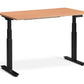 AKTIV 2 Dual Motor Standing Desk with Memory Control and Built-in USB Charger