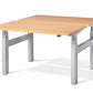 Duo Height Adjustable Double Desk (with Bluetooth control)